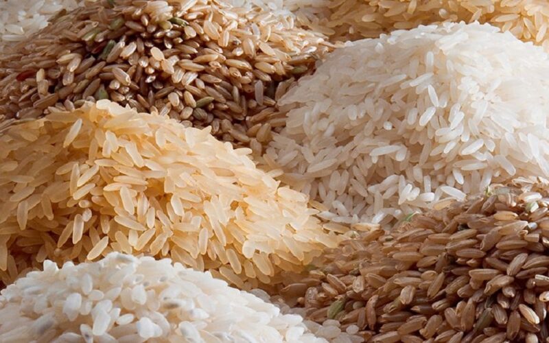 سعر أرز الشعير اليوم