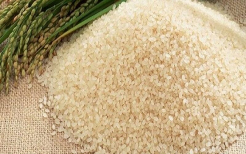 سعر الأرز الشعير اليوم
